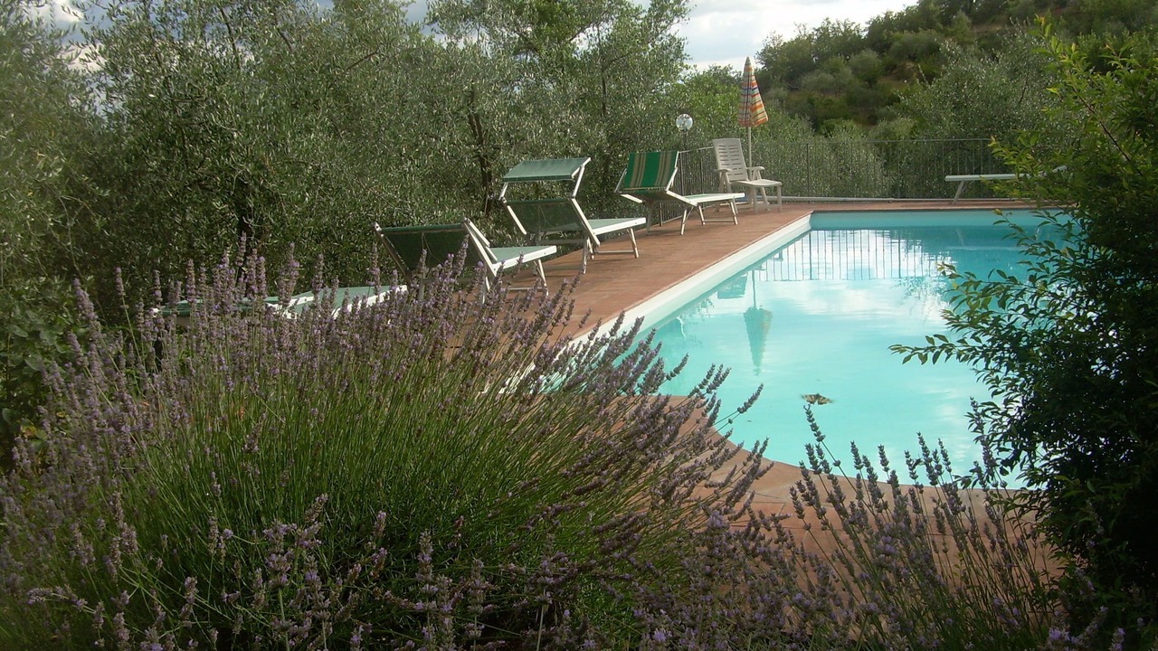 Photo of Outdoor in Lecchi in Chianti
