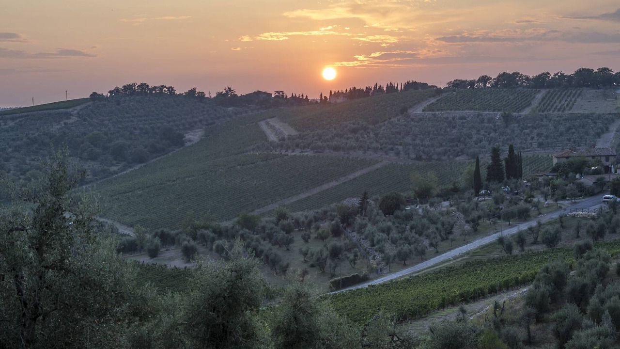 Photo of Outdoor in Lecchi in Chianti