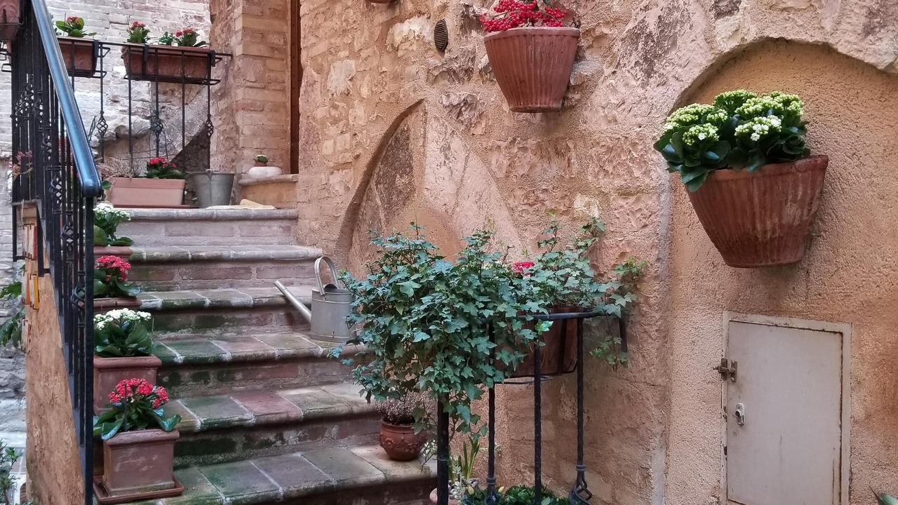 Photo of Others in Spello