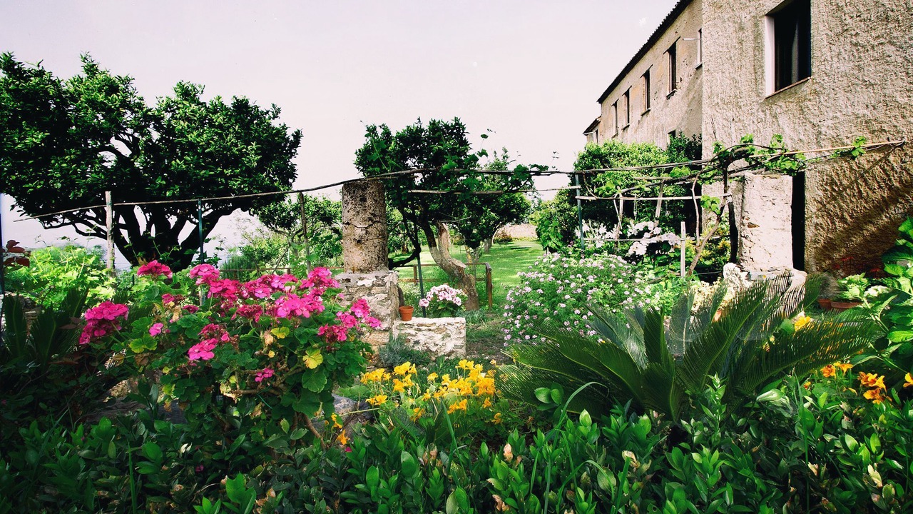 Photo of Outdoor in Belmonte Calabro