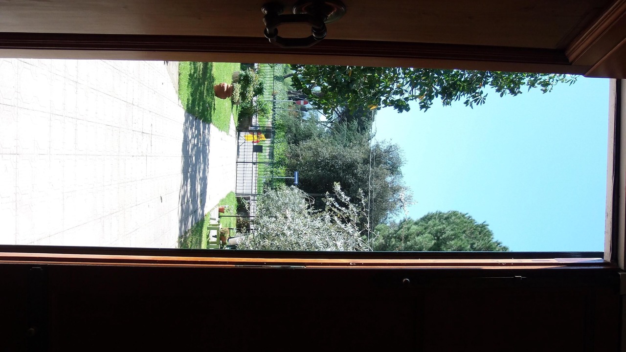 Photo of Others in Lucca