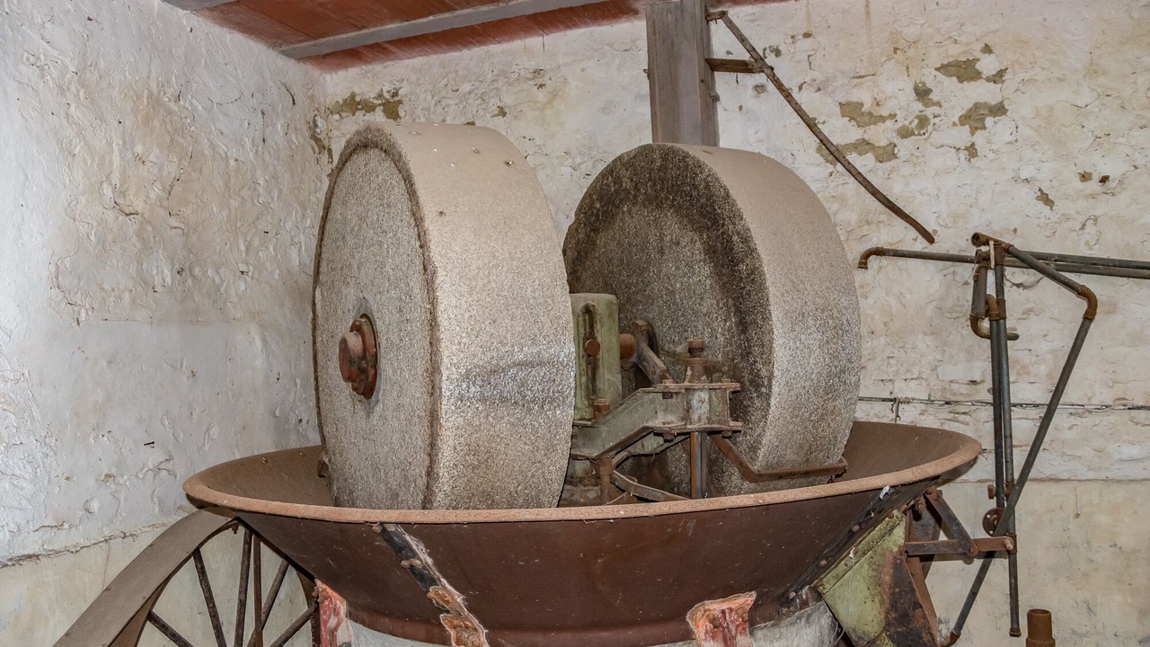 Photo of Others in Montegiove