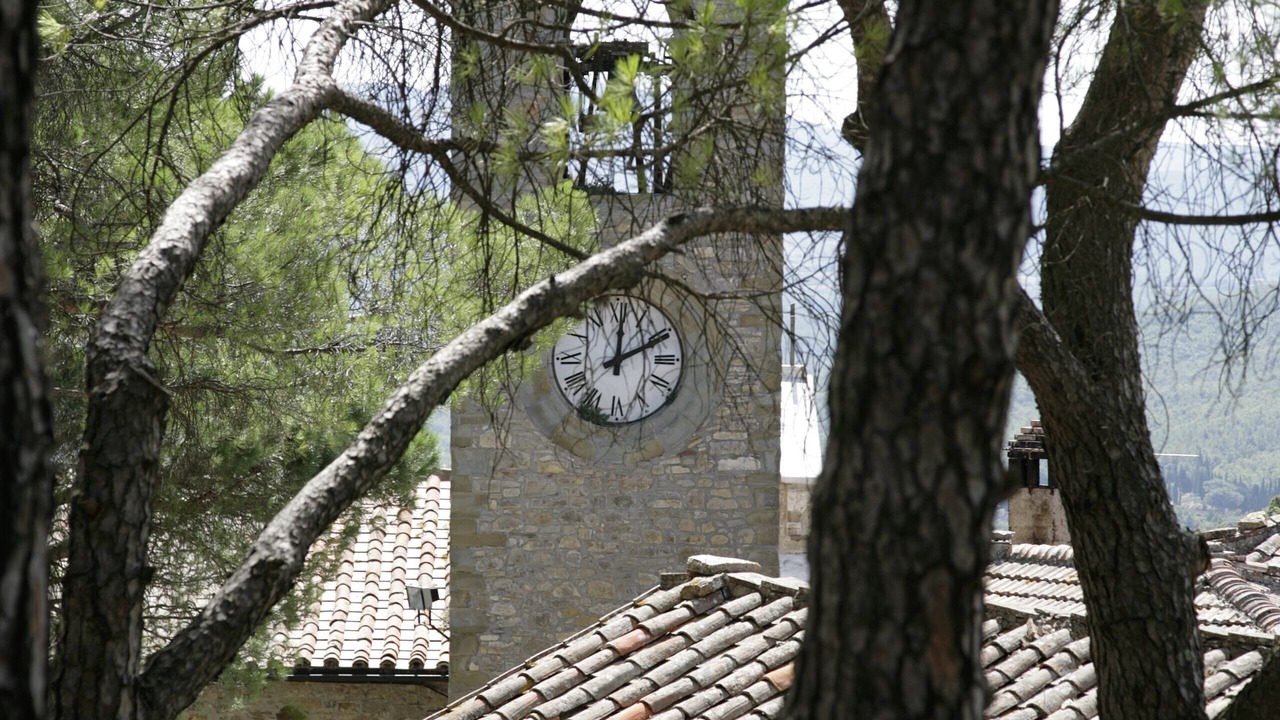 Photo of Others in Montegiove