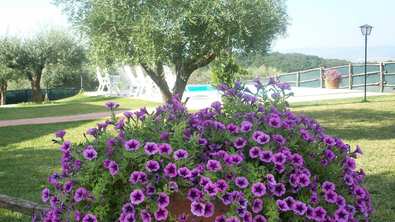 Photo of Outdoor in Deruta