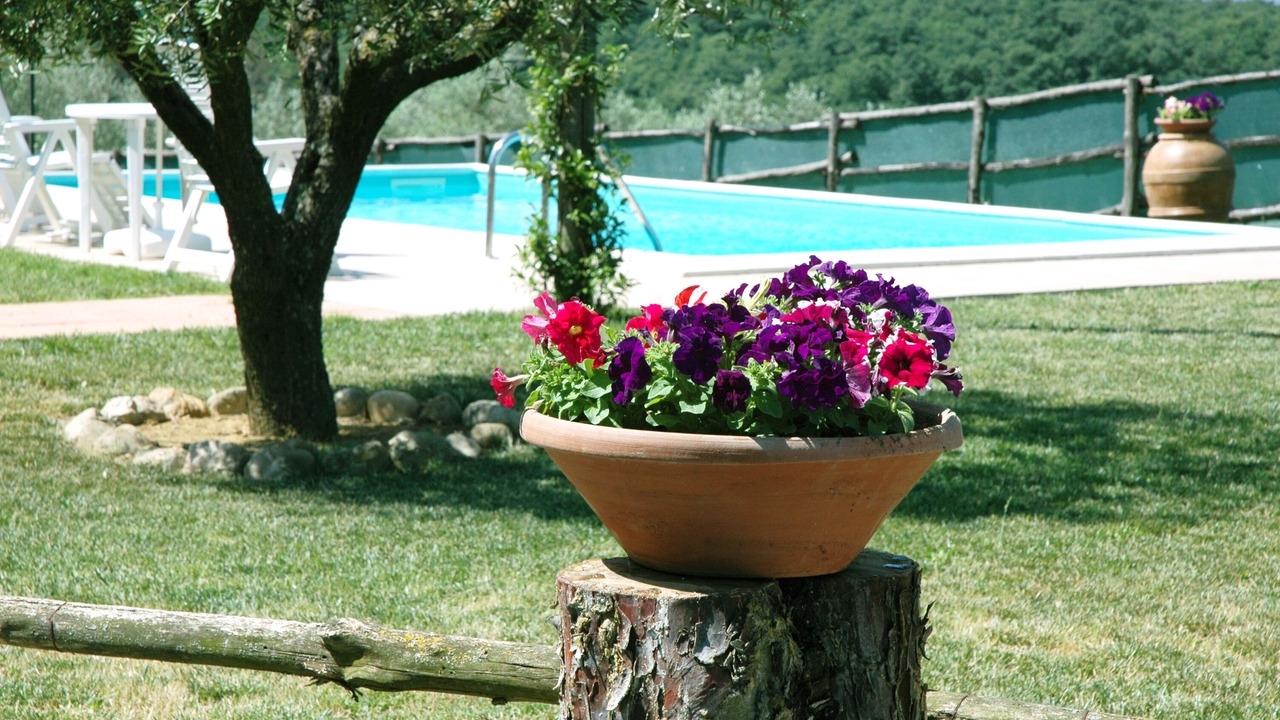 Photo of Outdoor in Deruta