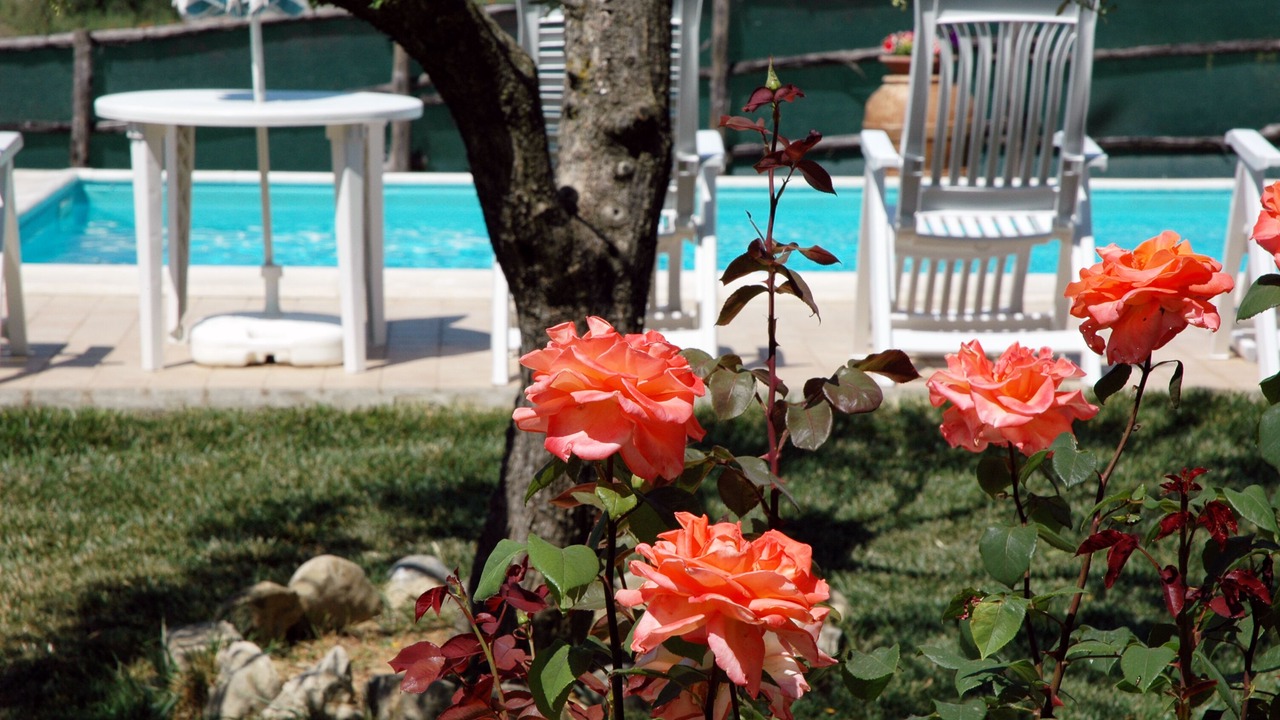 Photo of Outdoor in Deruta