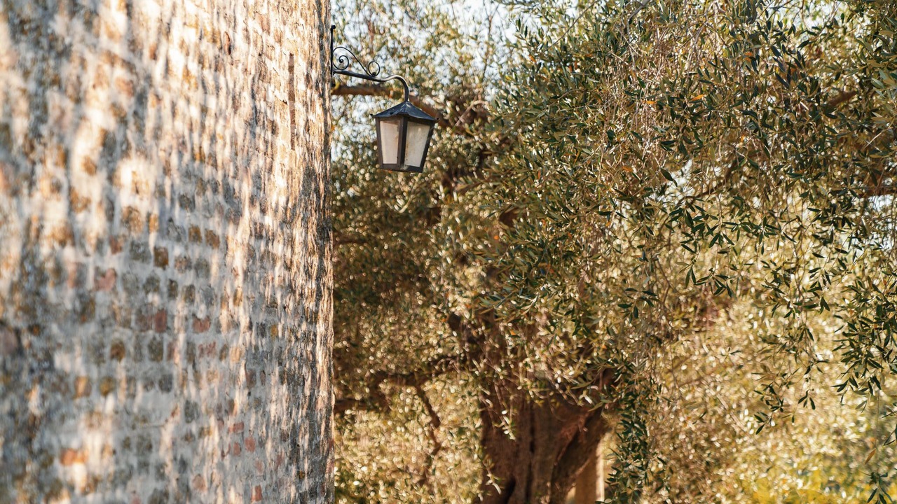 Photo of Outdoor in Santa Veneranda