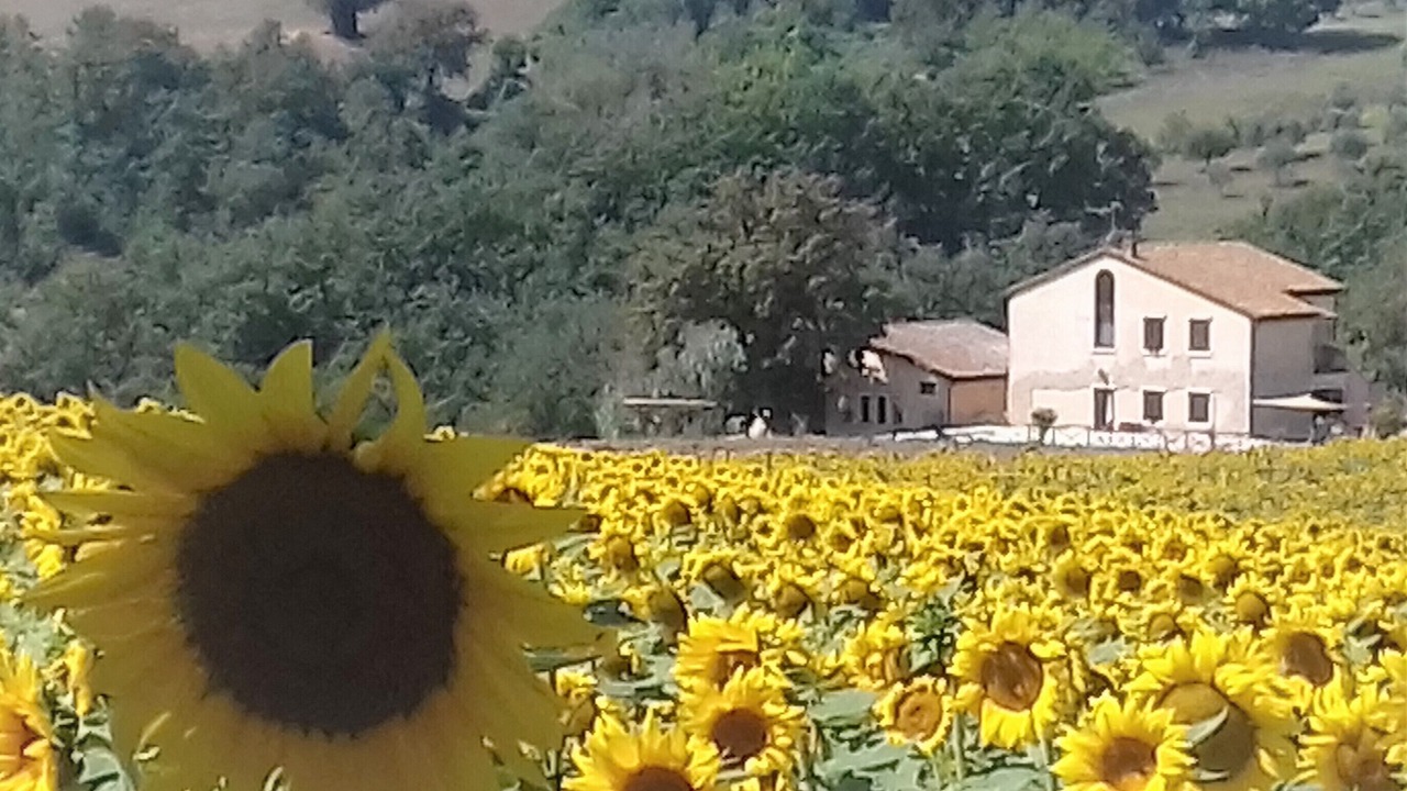 Photo of Outdoor in Avigliano Umbrio