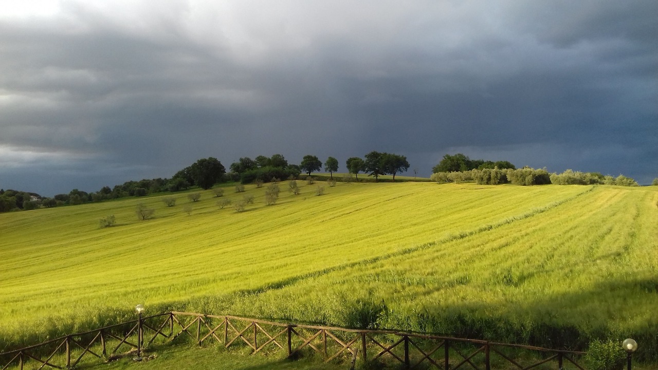 Photo of Others in Avigliano Umbrio