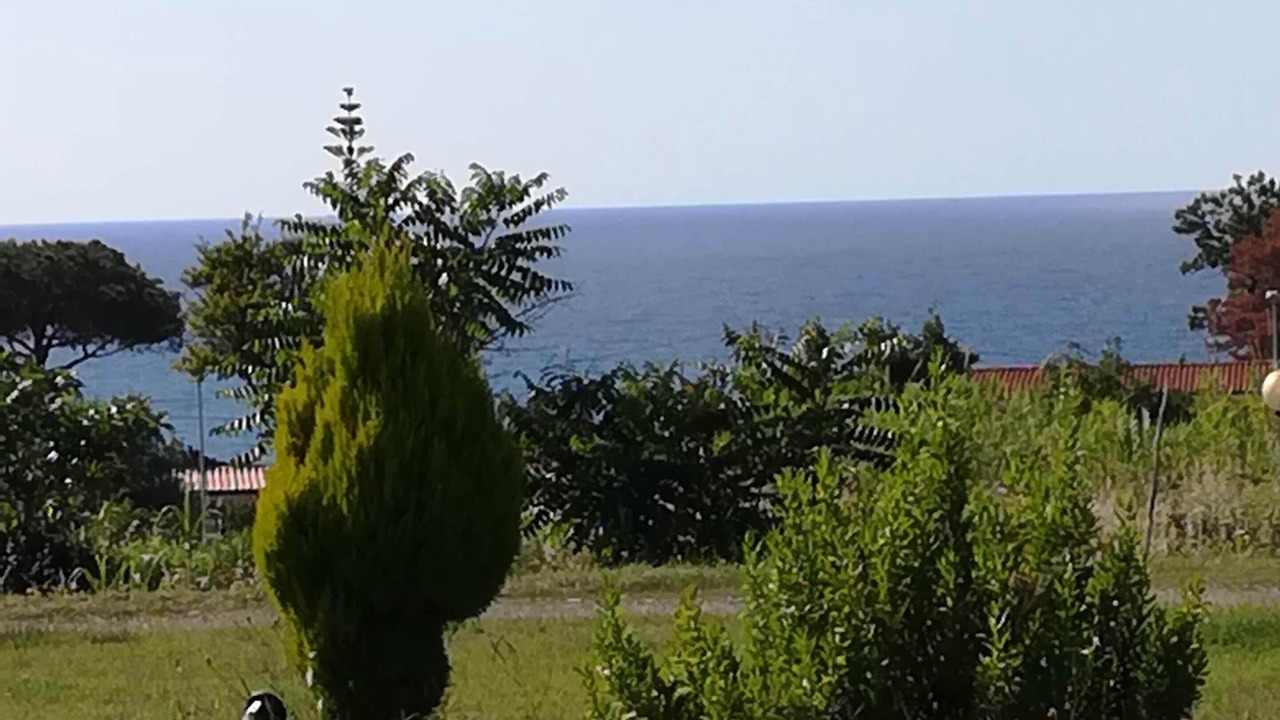 Photo of Outdoor in Parghelia