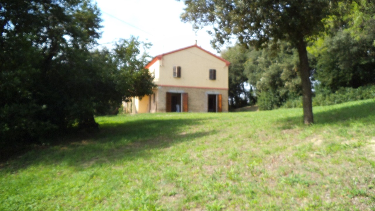 Photo of Others in Osimo