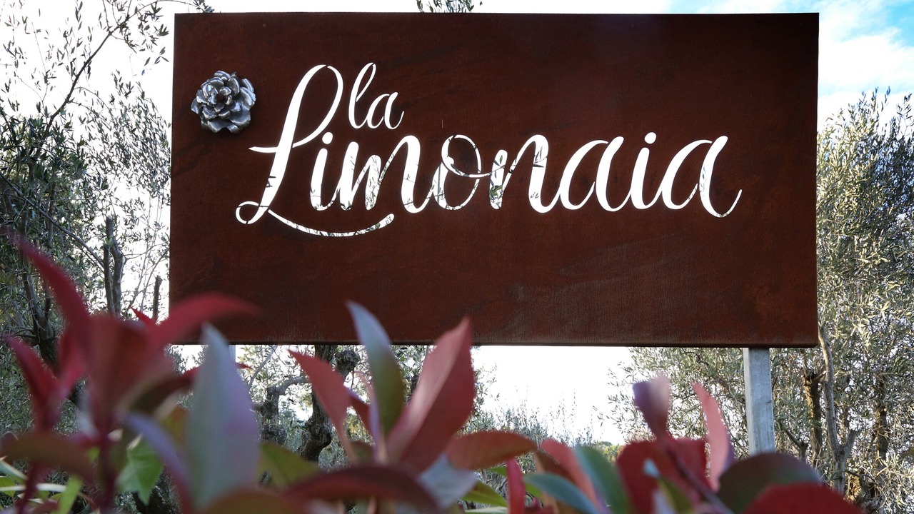 Photo of Outdoor in Mondavio