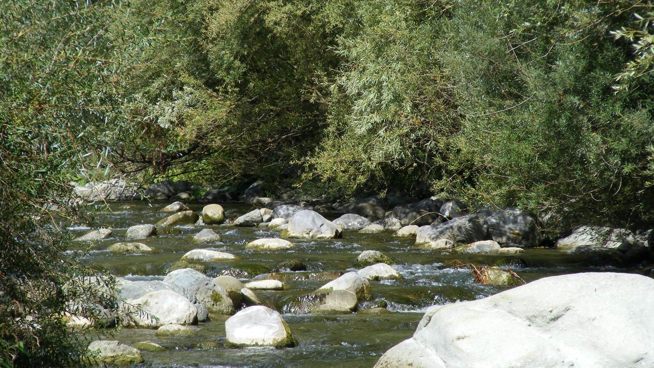 Photo of Outdoor in Camporgiano