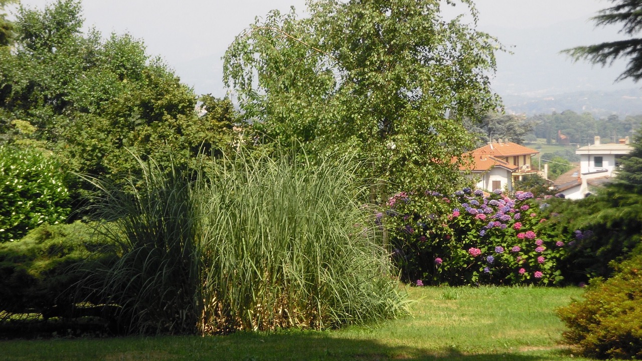 Photo of Outdoor in Cremnago