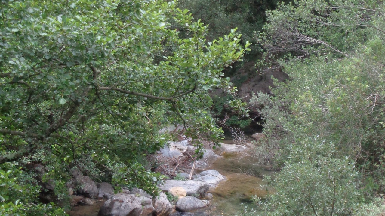 Photo of Others in Pigna