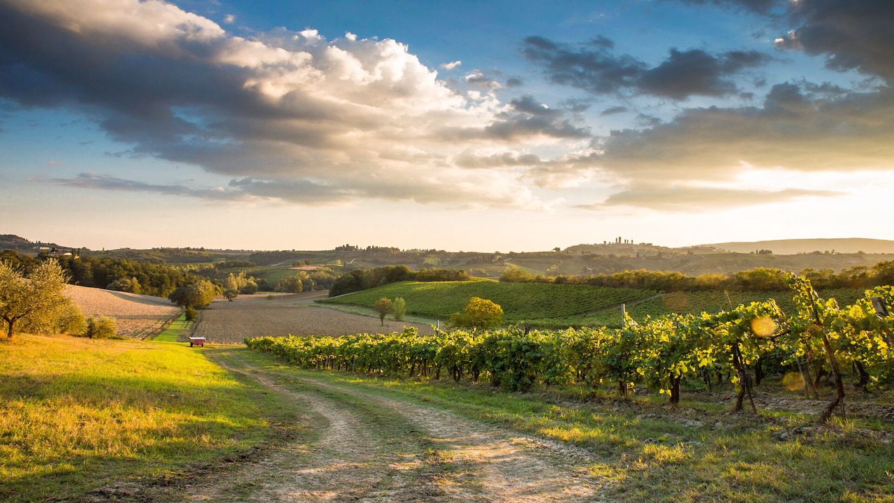 Photo of Others in San Gimignano