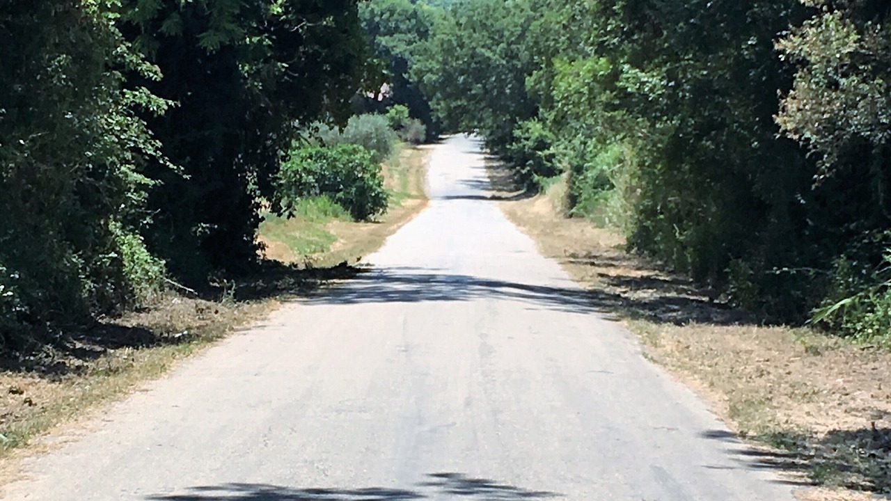 Photo of Outdoor in Barchi