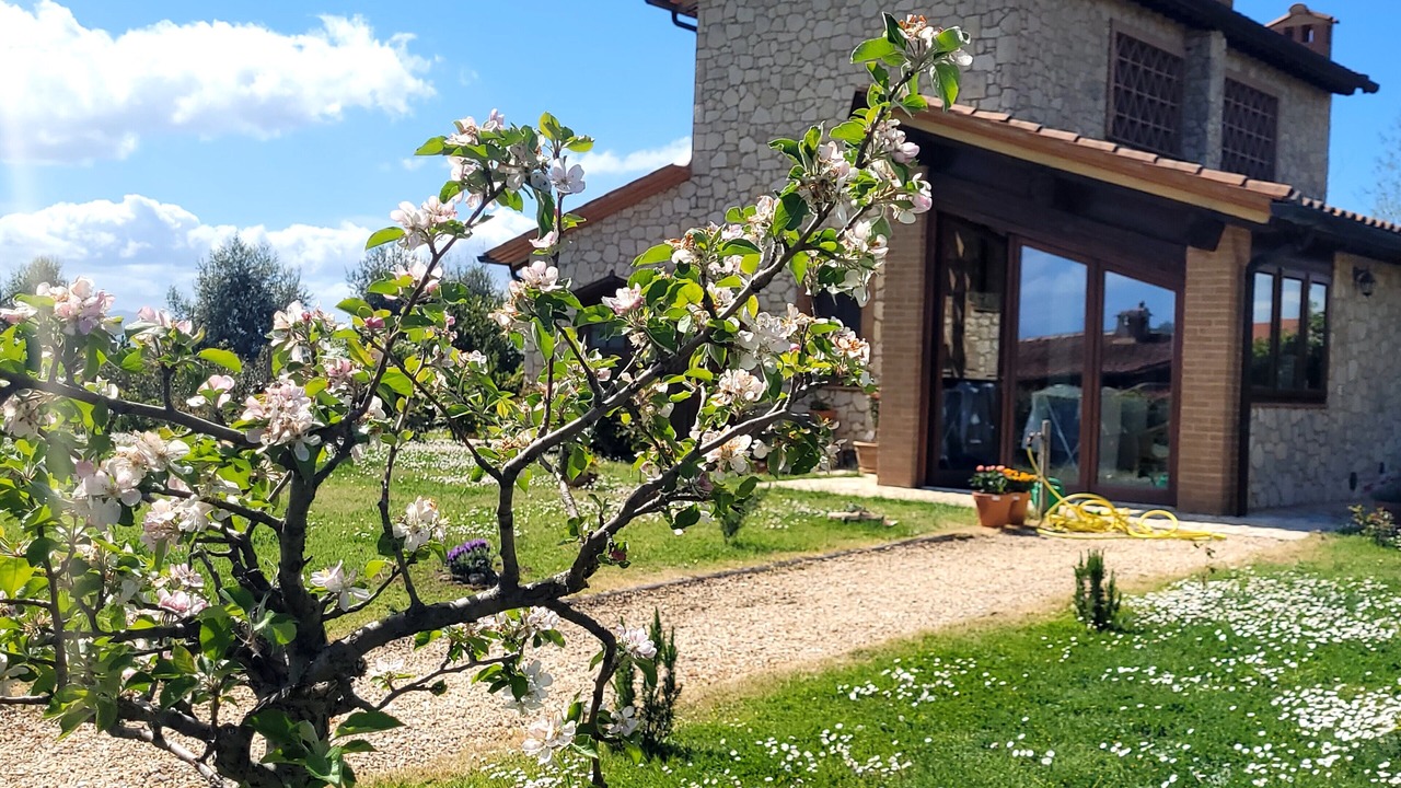 Photo of Outdoor in Volterra