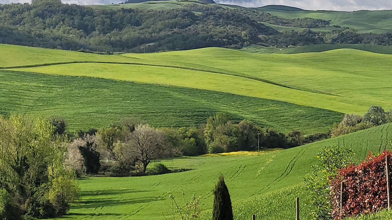 Photo of Others in Volterra