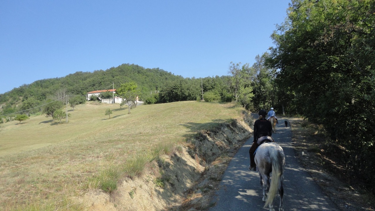 Photo of Others in Acqui Terme
