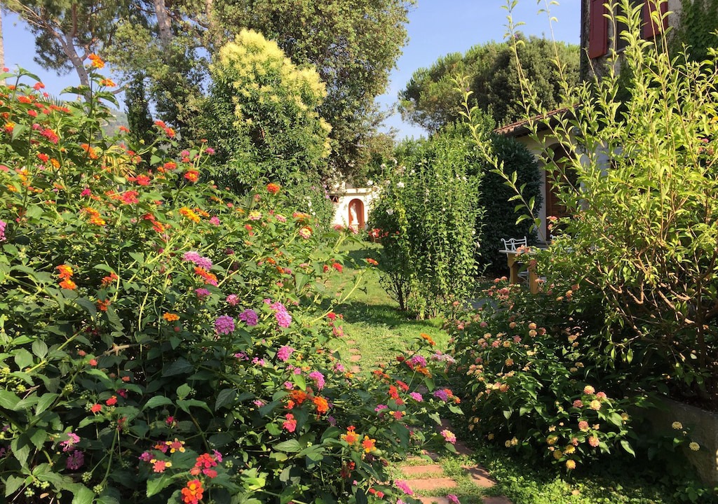 Photo of Outdoor in Querceta