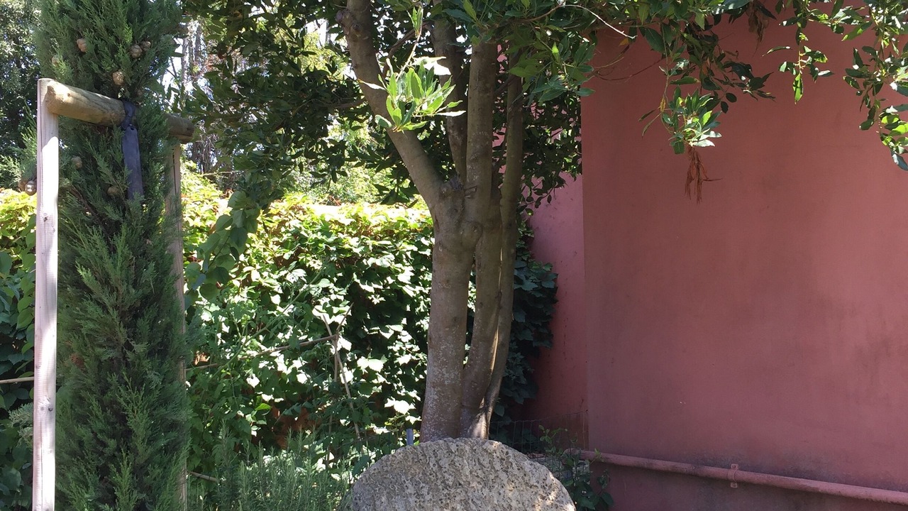 Photo of Outdoor in Livorno