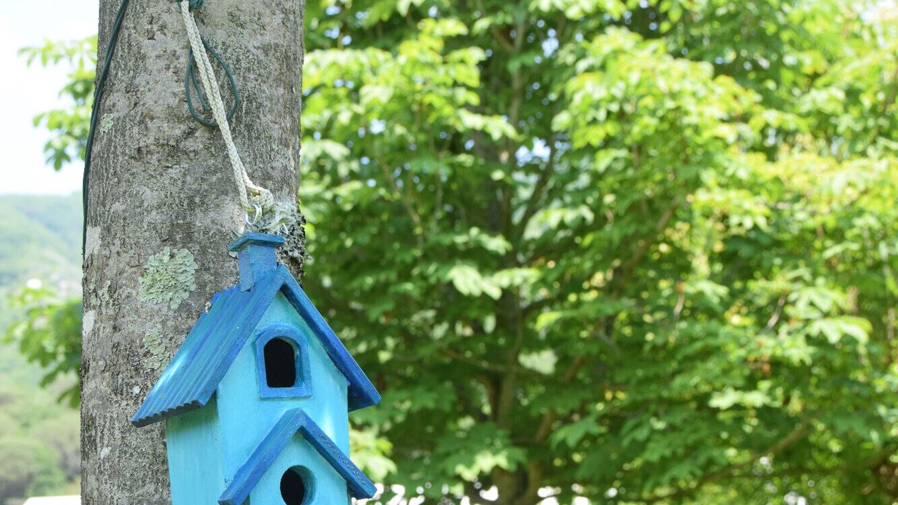 Photo of Outdoor in Coreglia Ligure