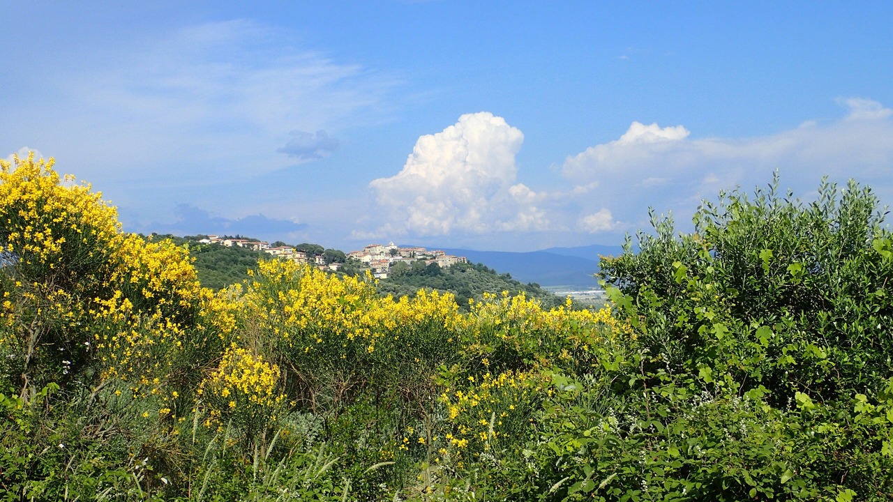 Photo of Others in Giuncarico