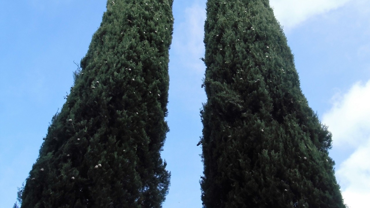 Photo of Outdoor in Giuncarico