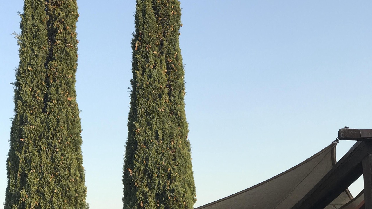 Photo of Outdoor in Giuncarico