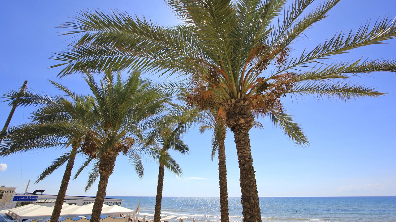 Photo of Others in Marina di Ragusa