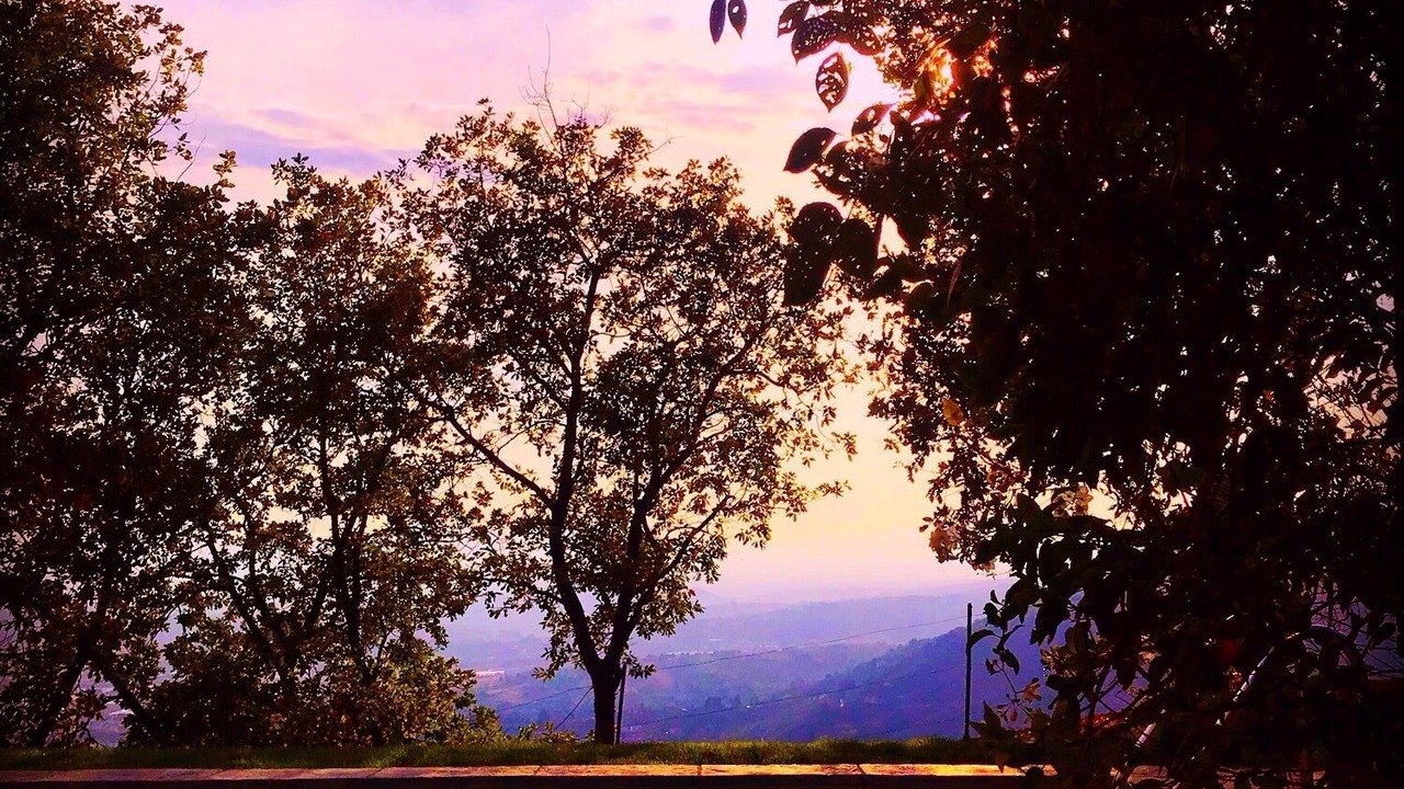 Photo of Outdoor in Uzzano
