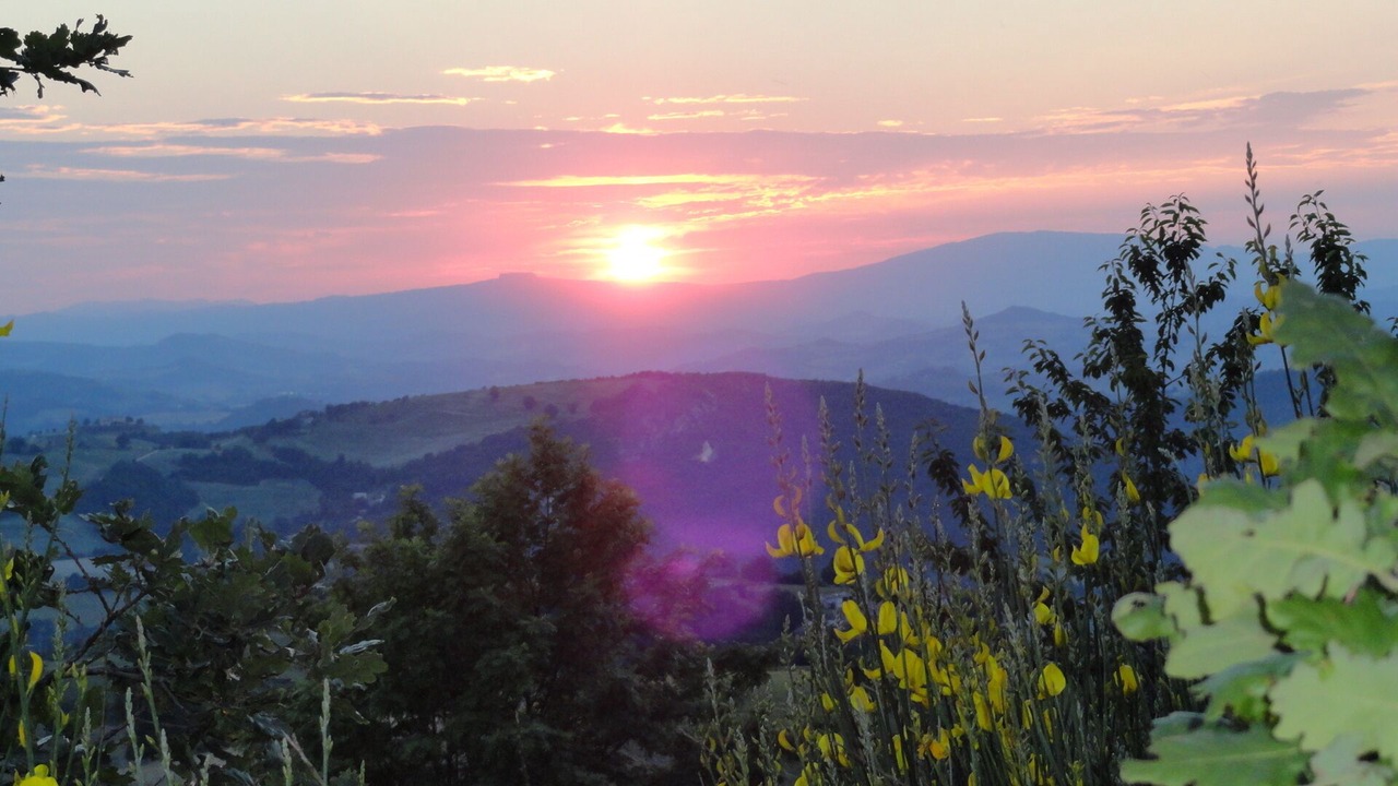 Photo of Others in Cagli