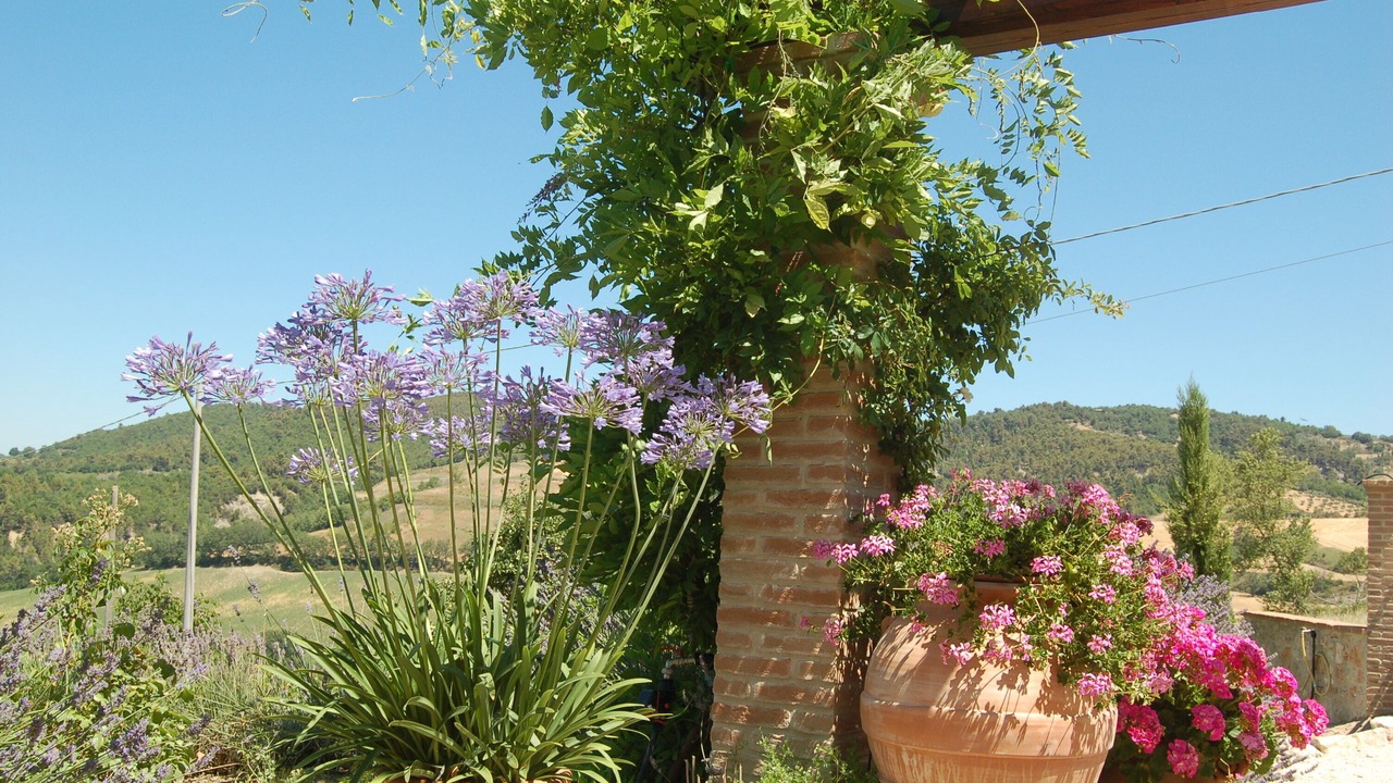 Photo of Others in Collazzone