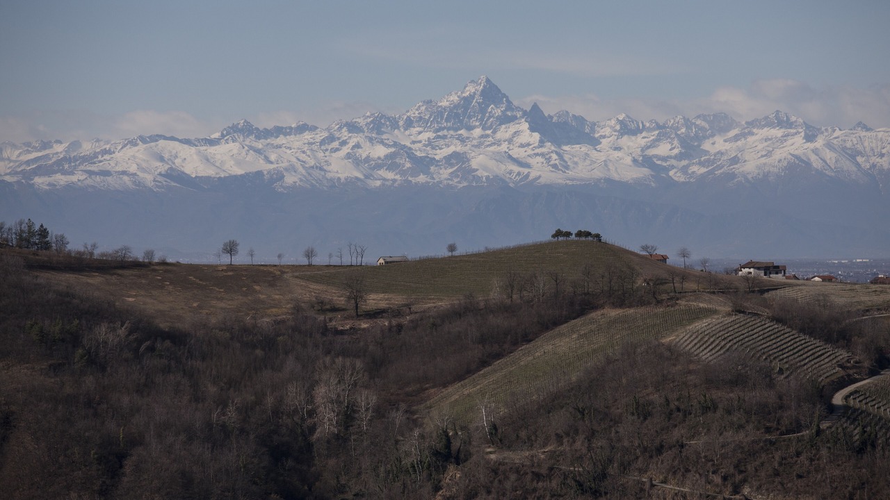 Photo of Others in Trezzo Tinella