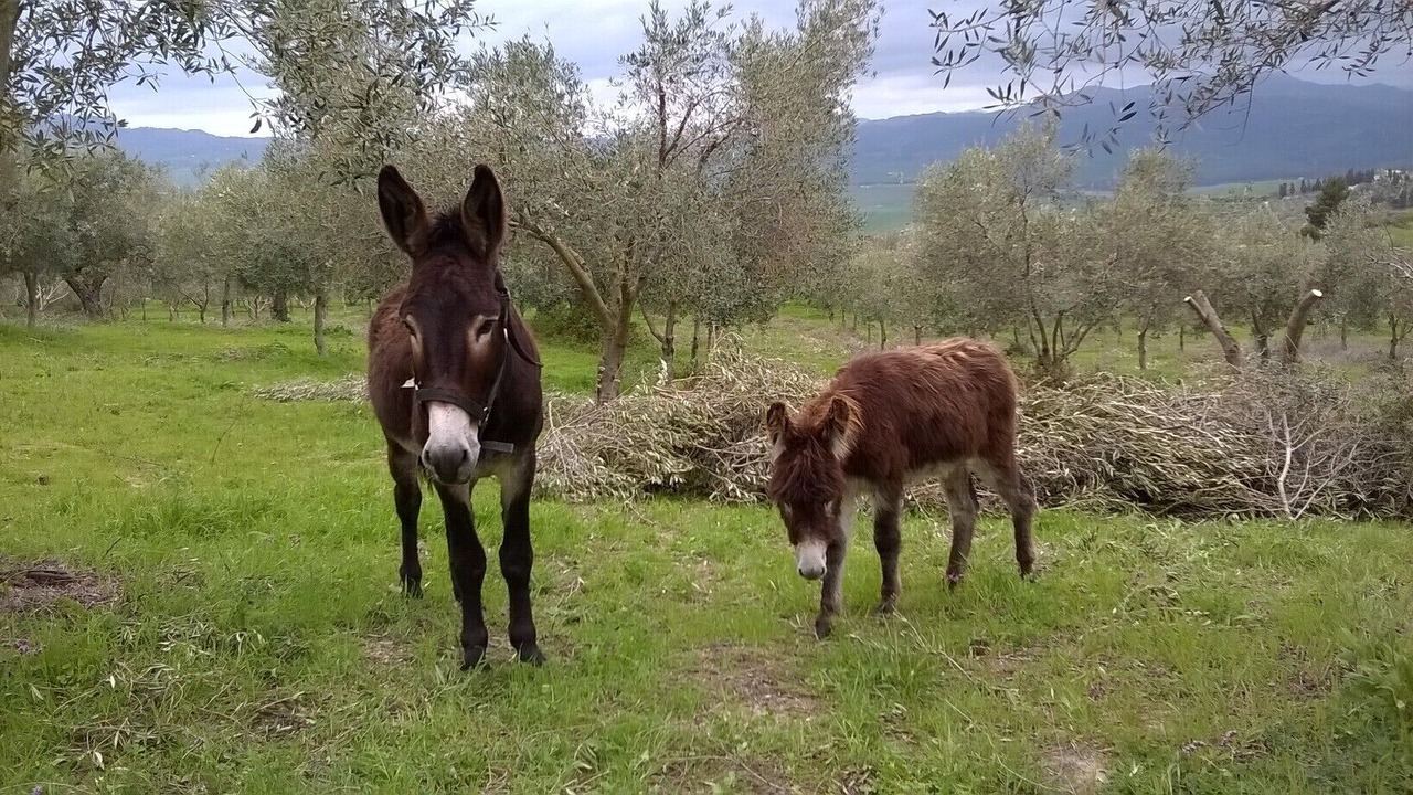 Photo of Outdoor in Enna