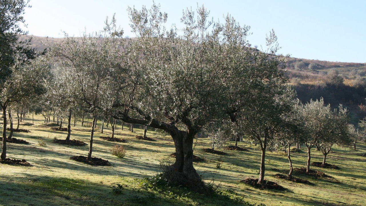 Photo of Outdoor in Enna