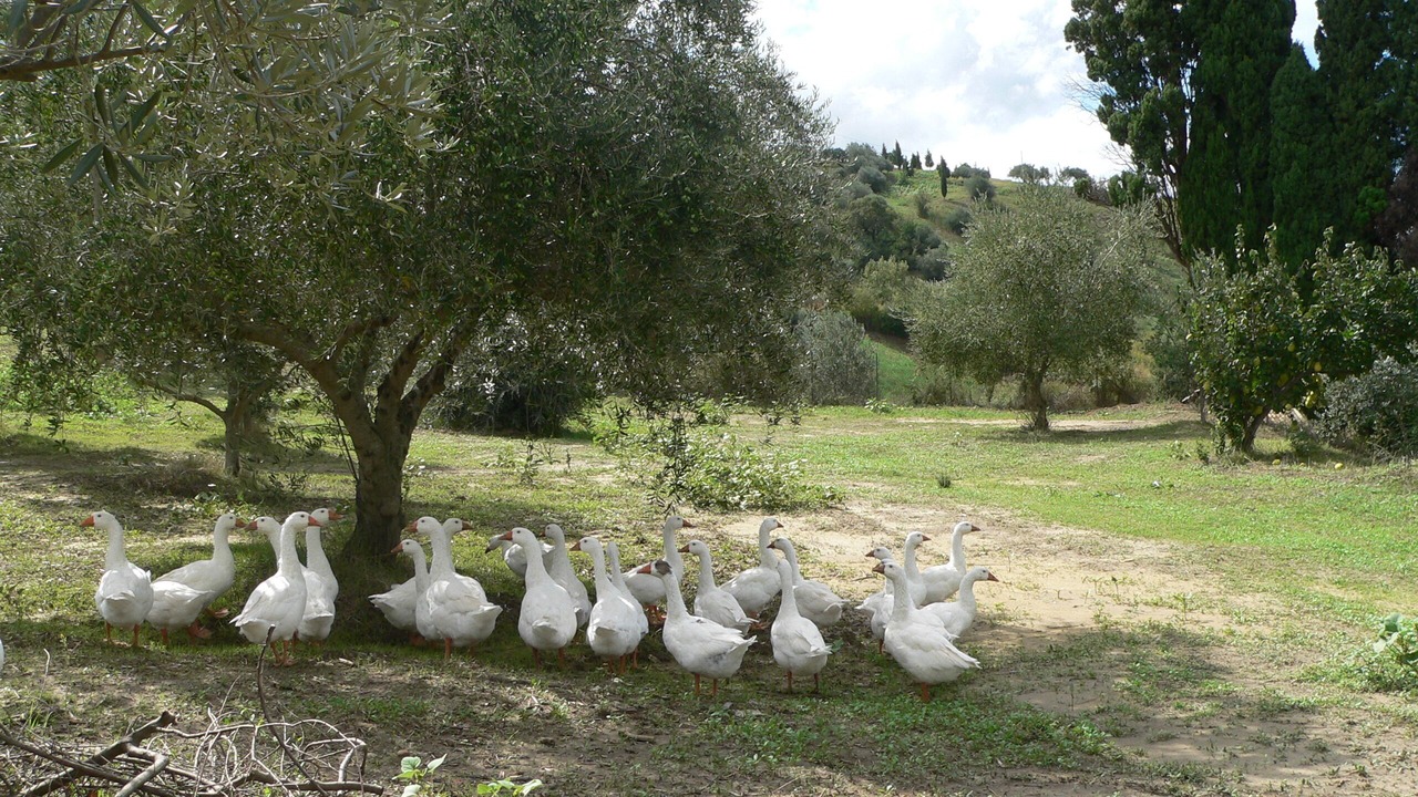 Photo of Outdoor in Enna