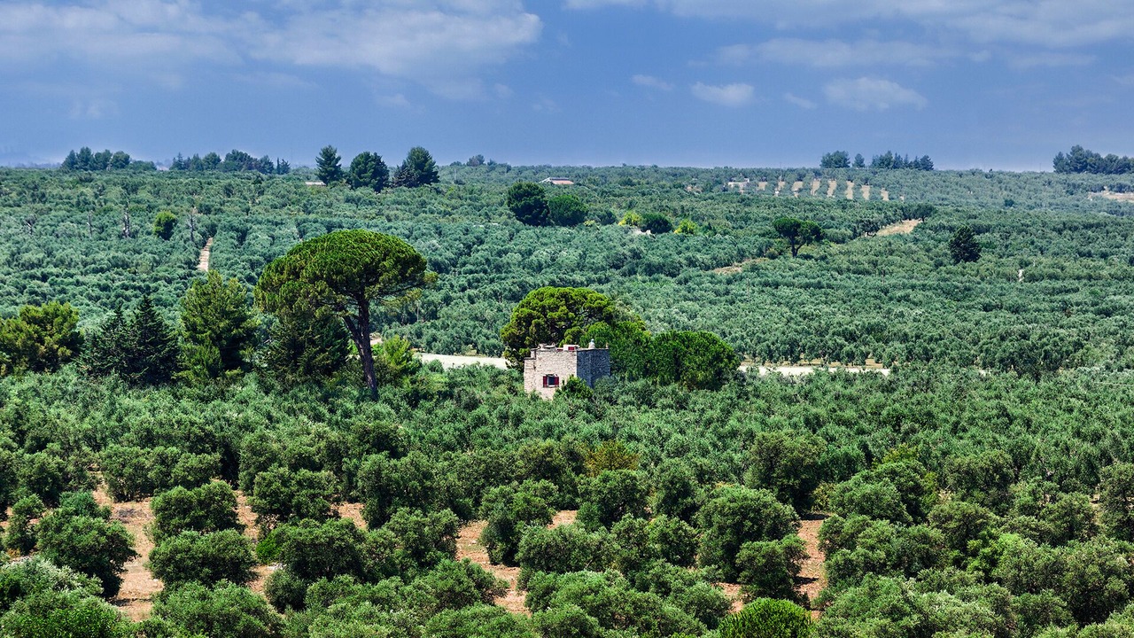 Photo of Outdoor in Ruvo di Puglia