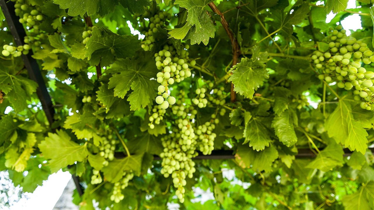 Photo of Outdoor in Ruvo di Puglia
