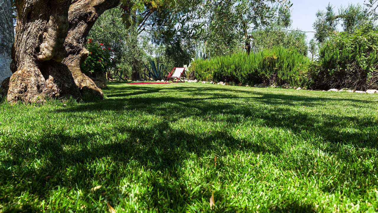 Photo of Outdoor in Ruvo di Puglia