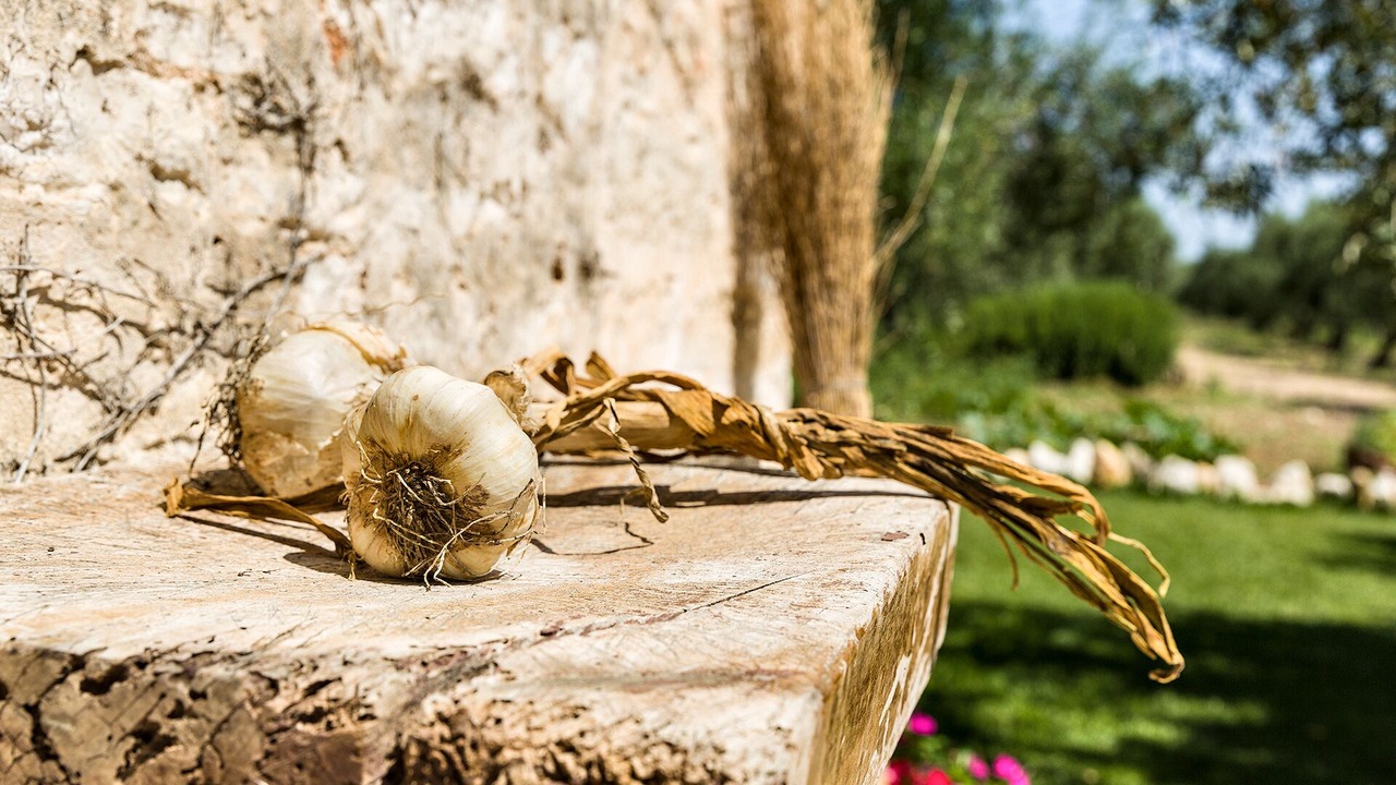 Photo of Outdoor in Ruvo di Puglia