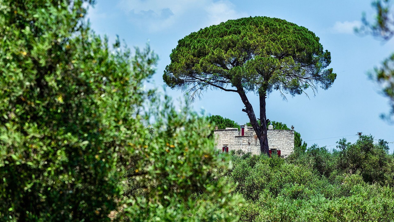 Photo of Outdoor in Ruvo di Puglia