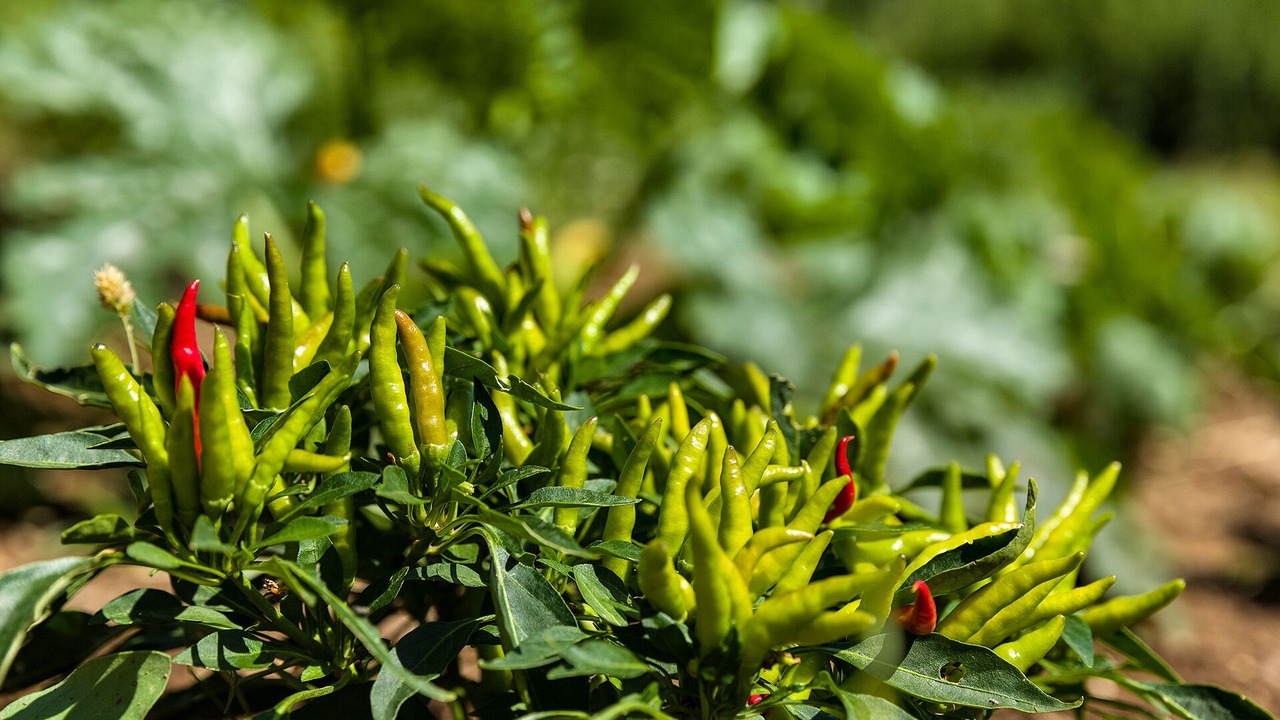 Photo of Outdoor in Ruvo di Puglia