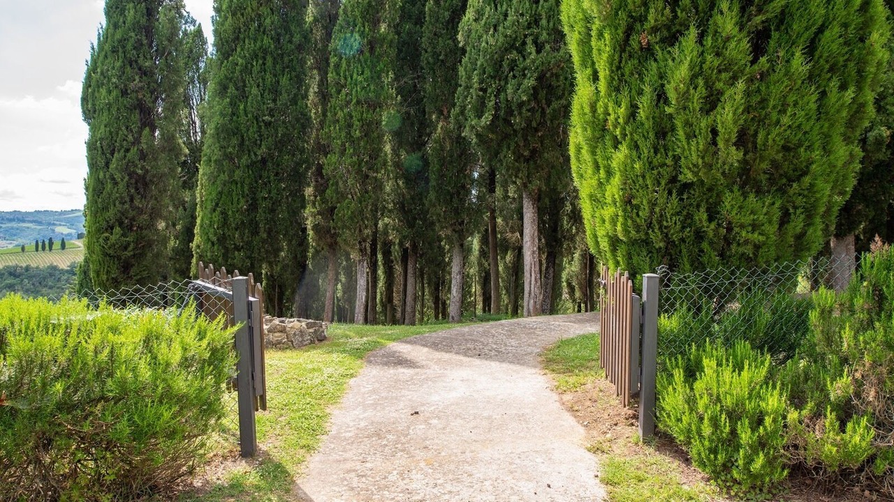 Photo of Outdoor in Gaiole in Chianti