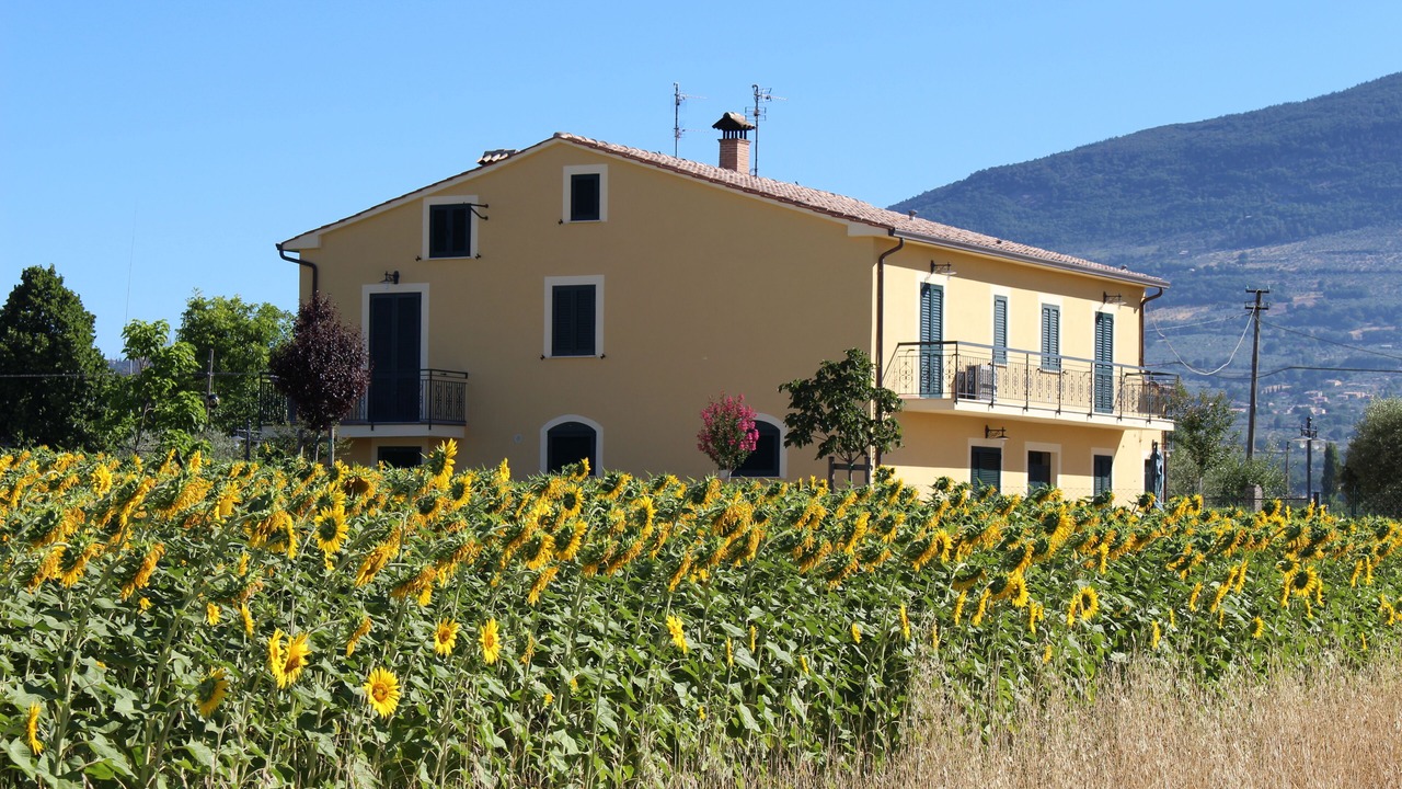 Photo of Outdoor in Casenuove