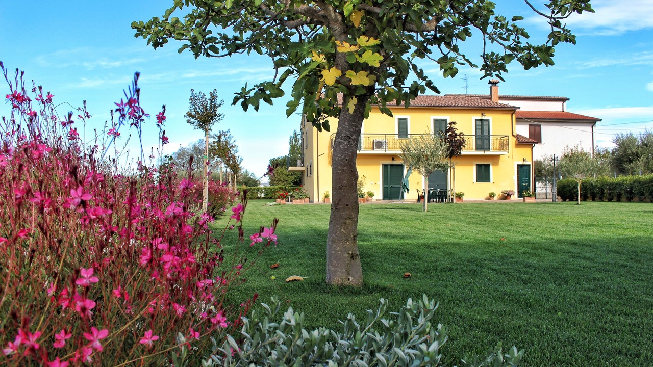 Photo of Outdoor in Casenuove