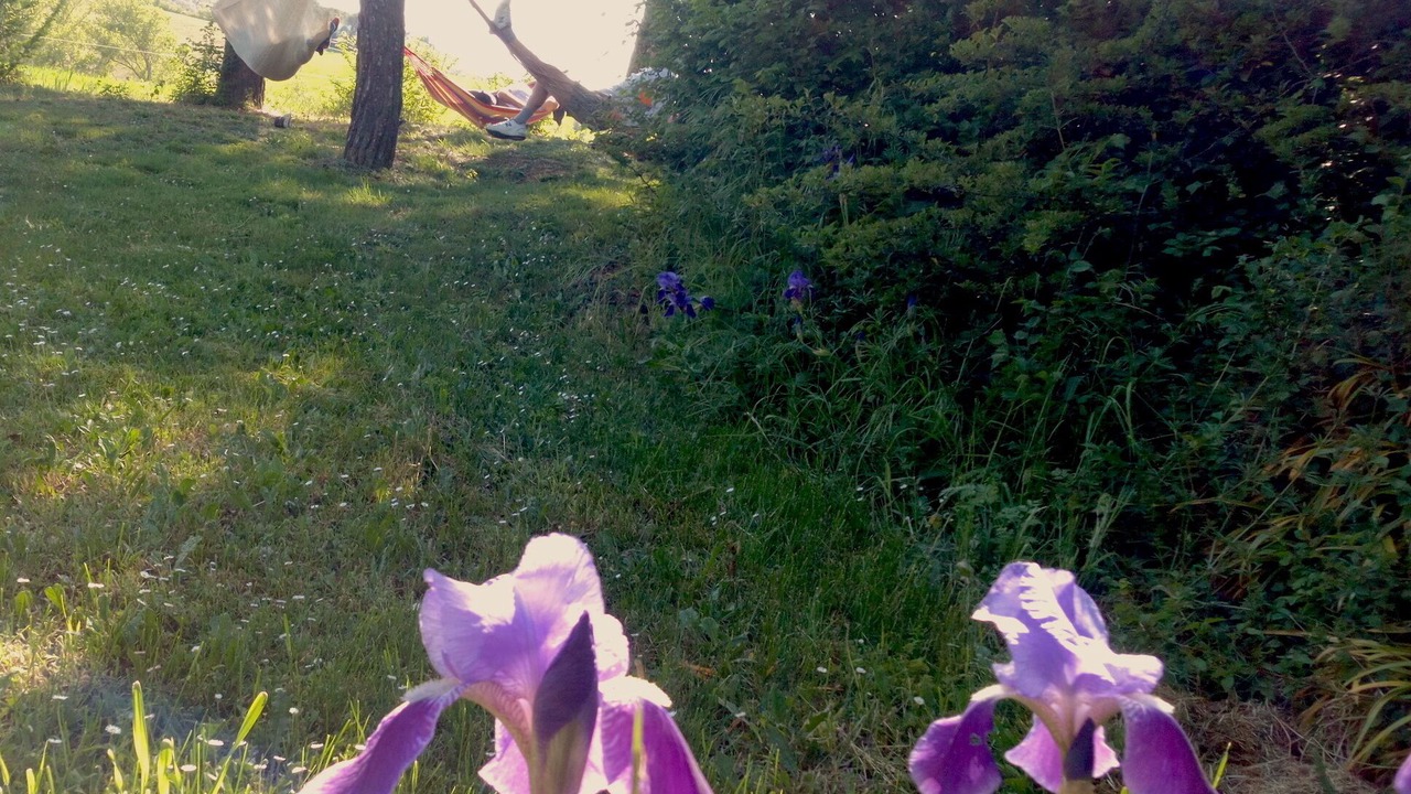 Photo of Outdoor in Casamaggiore