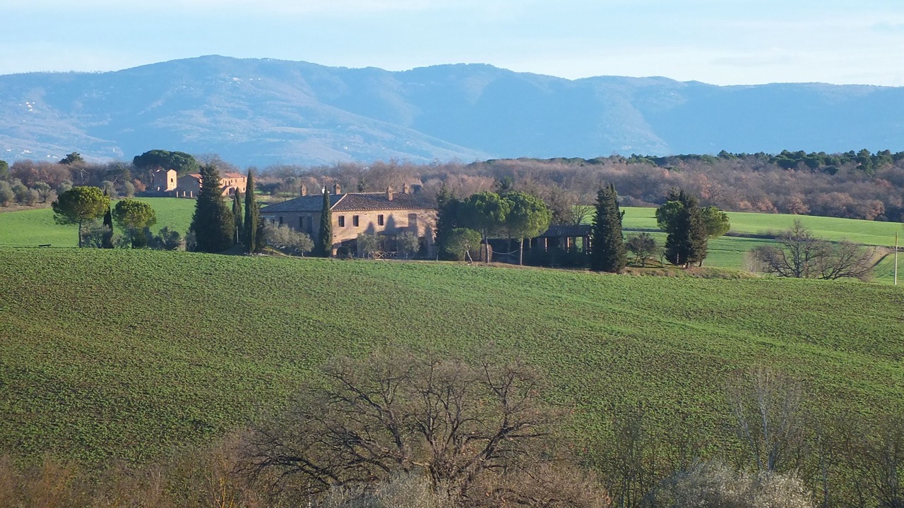 Photo of Outdoor in Casamaggiore