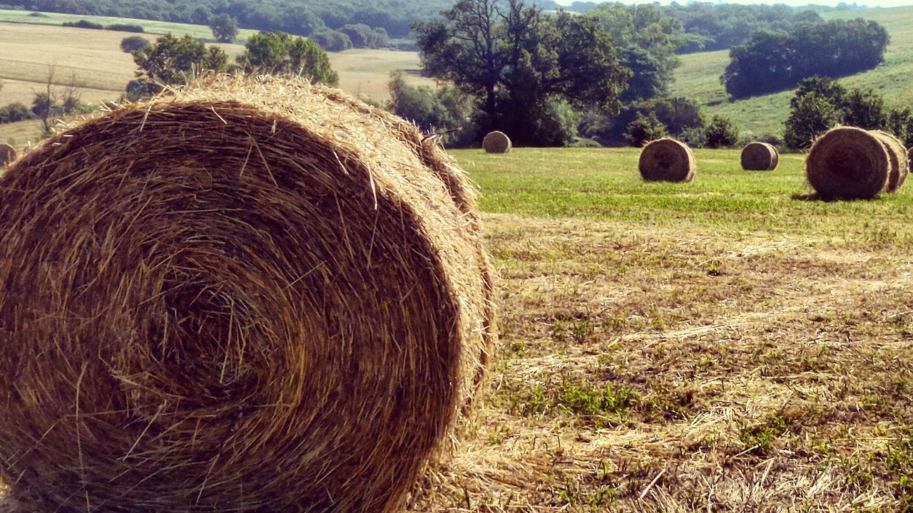 Photo of Outdoor in Casamaggiore